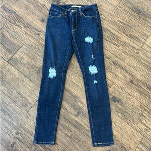 Blue Skinny Distressed Jeans